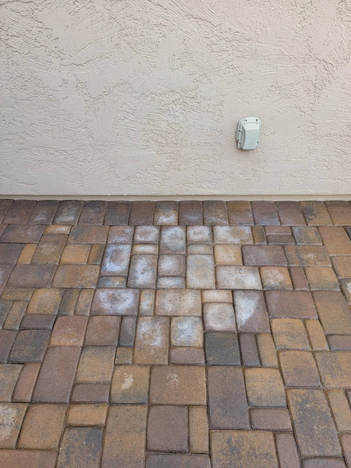 Efflorescence example on a paver walkway before treatment
